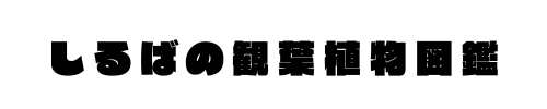 しるばの植物図鑑